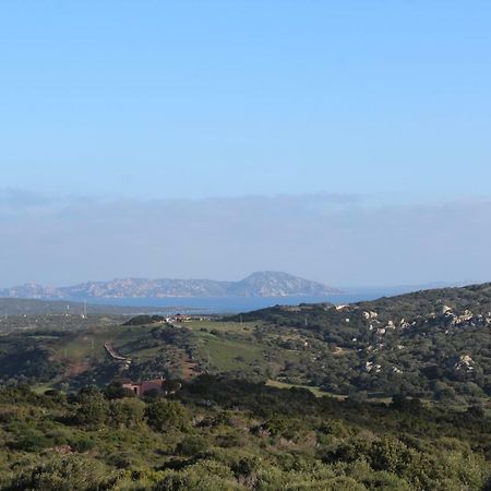 Appartamento L'Albero Magico Nella Campagna Gallurese Santa Teresa Gallura Exterior foto