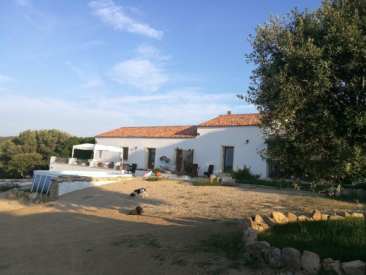 Appartamento L'Albero Magico Nella Campagna Gallurese Santa Teresa Gallura Exterior foto
